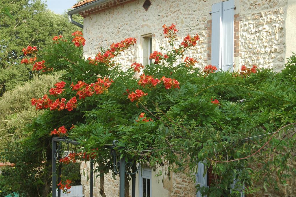 Fauch Domaine De Cimelia 빌라 외부 사진