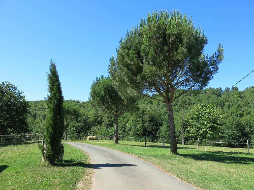 Fauch Domaine De Cimelia 빌라 외부 사진